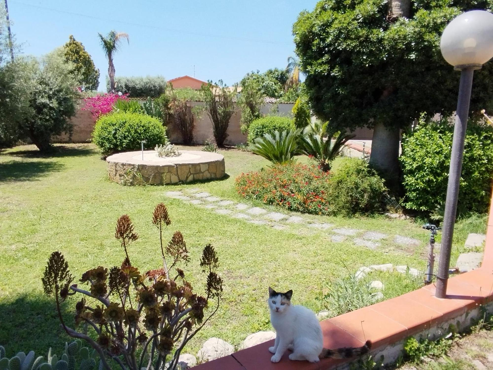 Casa Di Lu' Villa ฟลอริเดีย ภายนอก รูปภาพ