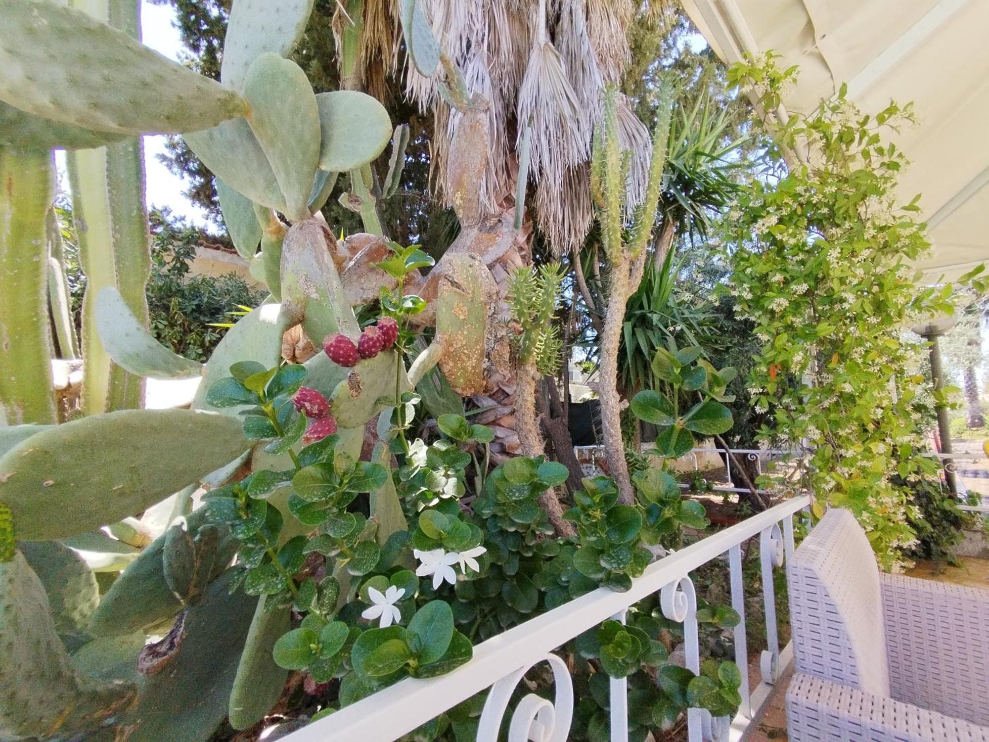 Casa Di Lu' Villa ฟลอริเดีย ภายนอก รูปภาพ